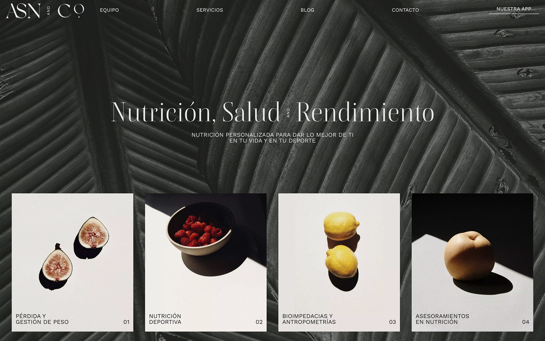 ▷ Ejemplo de página web para nutricionista [A medida]