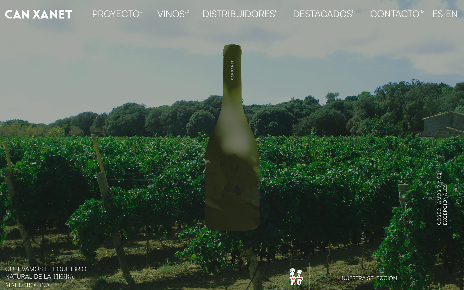 ▷ Ejemplo de página web para bodegas [A medida]