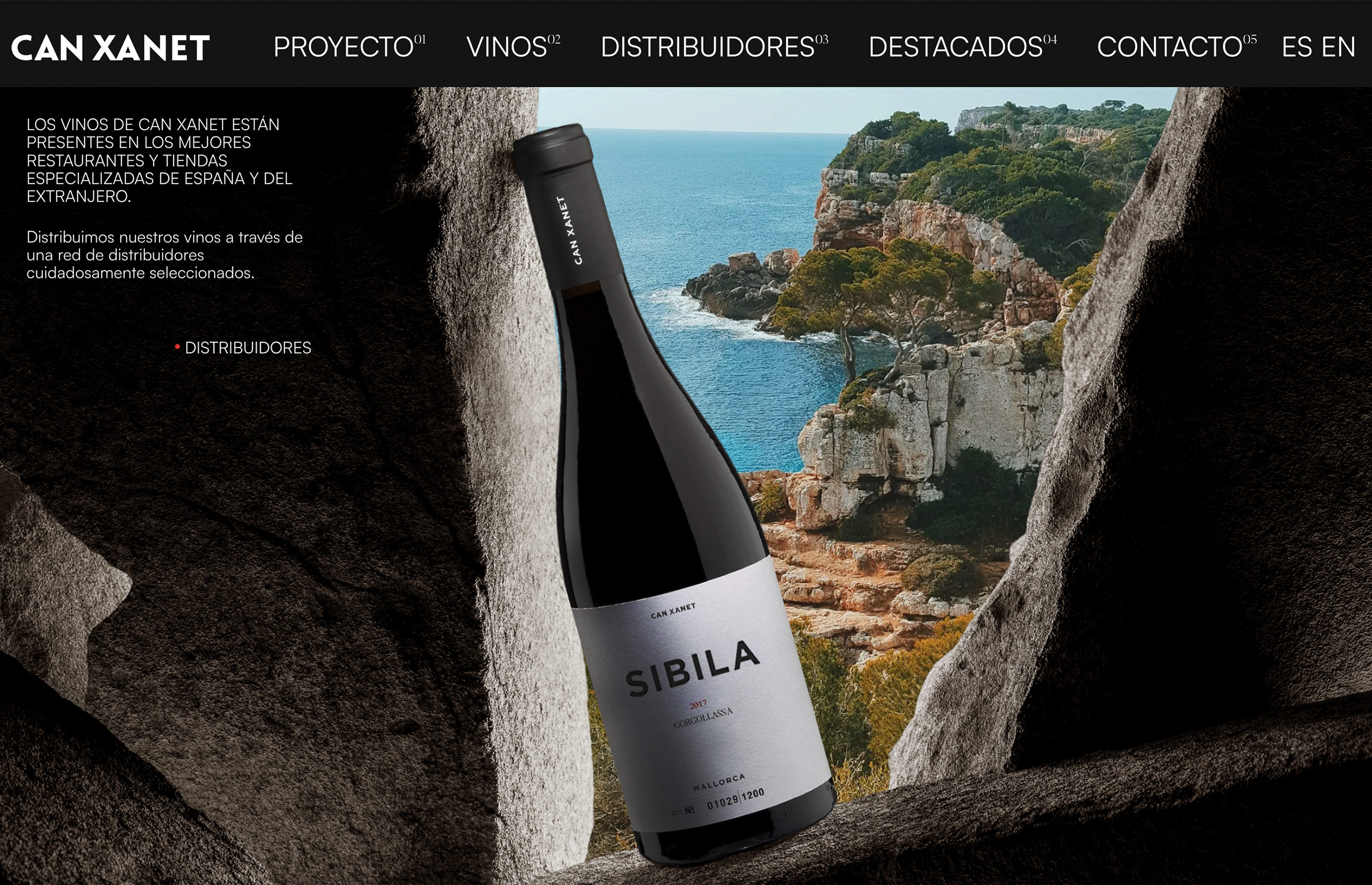 ▷ Ejemplo de página web para bodegas [A medida]